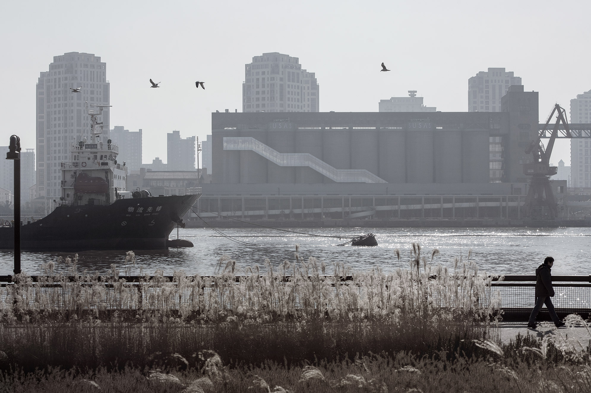 Renovação de silos de 80 mil toneladas no cais de Minsheng, Pudong, Xangai, China
