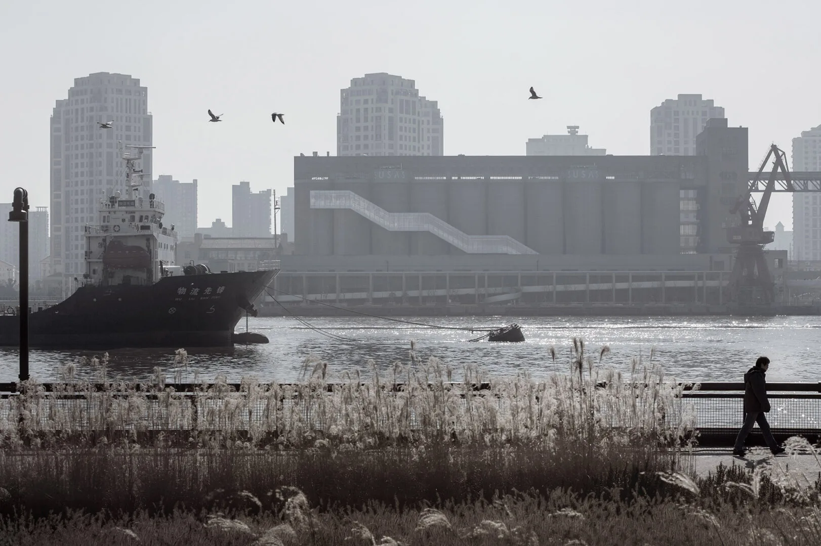 Renovação de silos de 80 mil toneladas no cais de Minsheng, Pudong, Xangai, China
